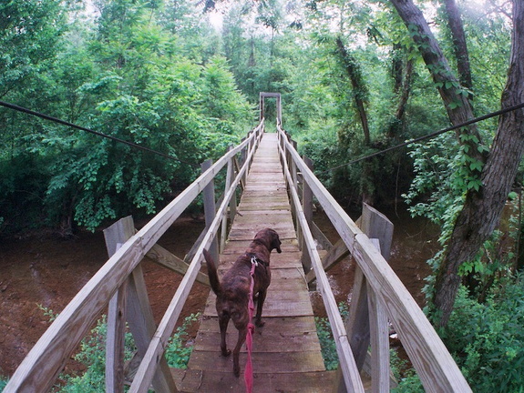 Station Camp Creek, Big South Fork country